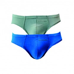 Skinxwear Bamboo Micro Briefs (2pcs)
